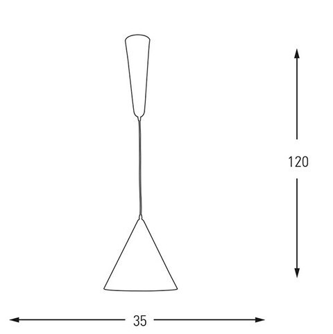 Glass Squeegee W/ Spray