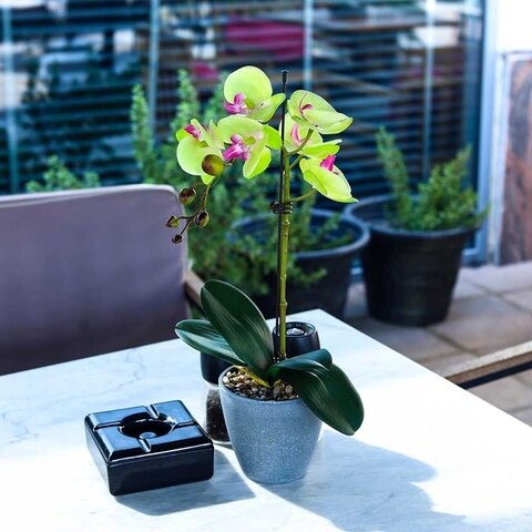 Orchid Wooden Mug Tree Holder (33 x 19.2 x 4.1 cm)