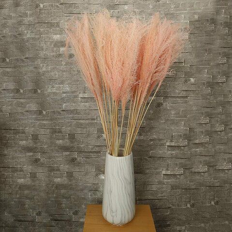 Yatai Natural Dried Pampas Grass Flowers - Pink