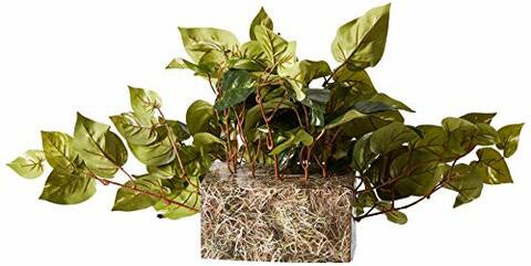 Nearly Natural 6708 Pothos Ledge Set on Foam Decorative Silk Plant, Green