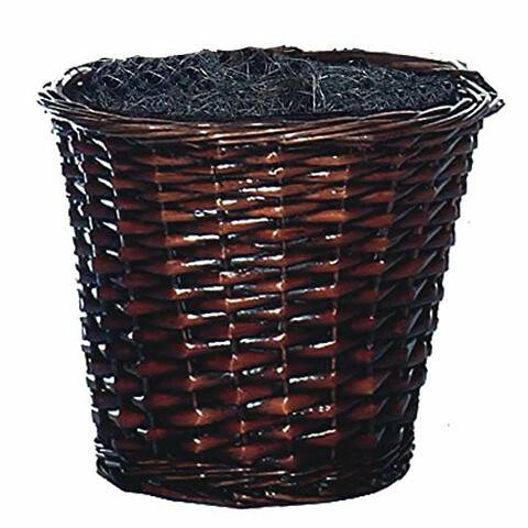 Vickerman 4-Feet Artificial Capensia Bush in Decorative Rattan Basket