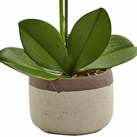 Nearly Natural 4569 Phalaenopsis Orchid in Ceramic Pot,White,19tall