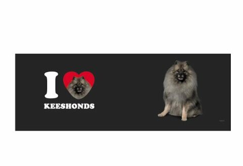 Tree Free Greetings XM29073 I Heart Keeshonds Artful Jumbo Mug, 20-Ounce, Grey