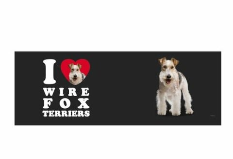 Tree Free Greetings XM29142 I Heart Wire Fox Terriers Artful Jumbo Mug, 20-Ounce