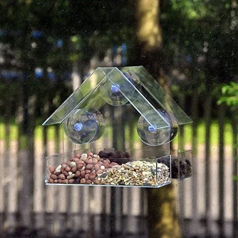 Generic Clear Glass Window Viewing Bird Feed Hotel Table Seed Peanut Hanging Suction