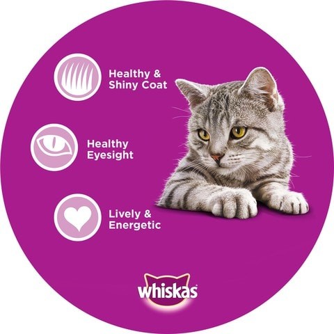 Whiskas Ocean Fish Food For Dry Cats 480gm