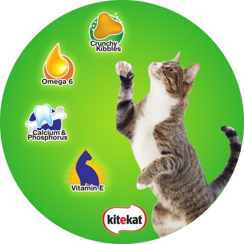 Kitkat mackerel dry cat food 1.4 kg