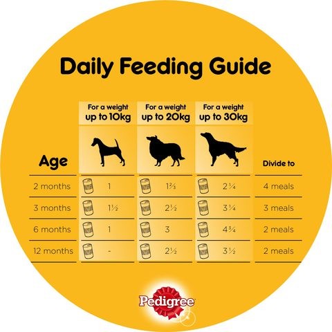 Pedigree Wet Dog Food Chicken Loaf 400g