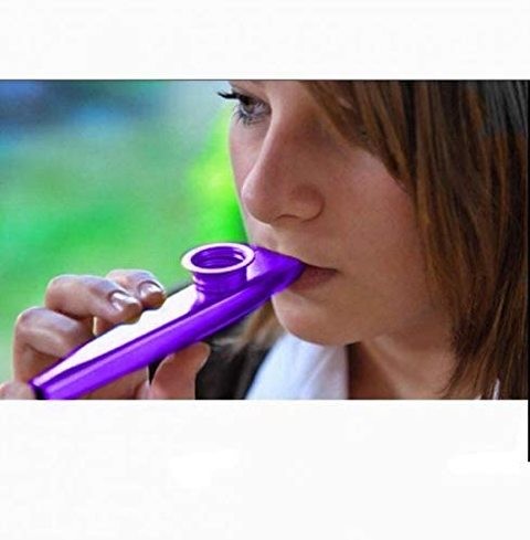 Mike Music Kazoo Metal Mix Toy (Purple)