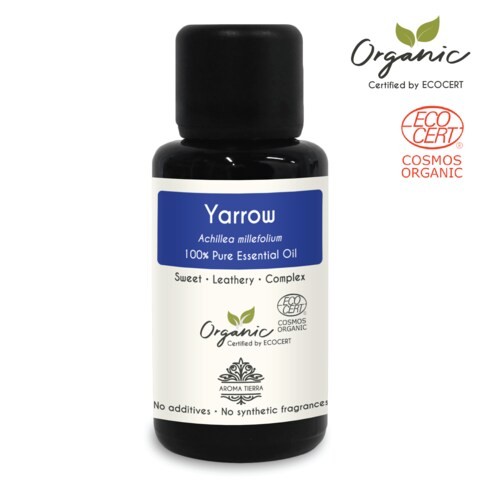 Aroma Tierra Organic Yarrow Oil - 100% Pure, Natural, Ecocert Certified Organic - 30ml