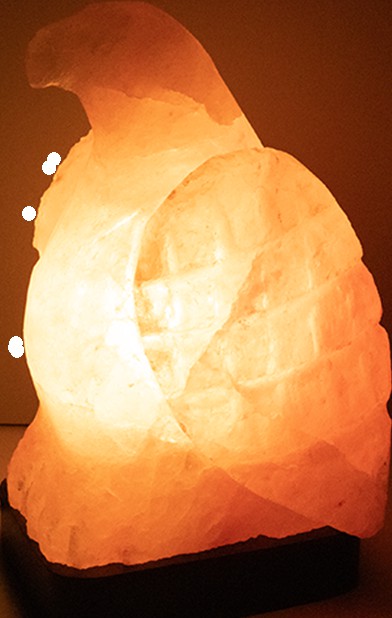 Generic Himalayan Salt Lamp - Eagle