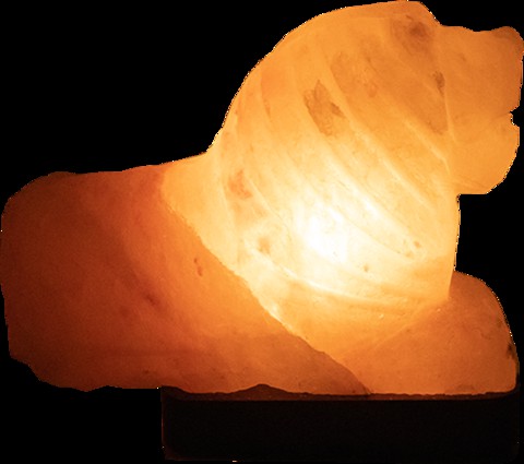 Generic Himalayan Salt Lamp - Lion