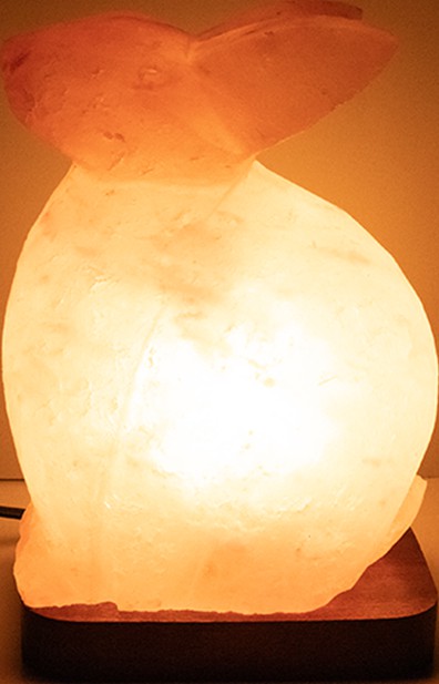 Generic Himalayan Salt Lamp - Rabbit