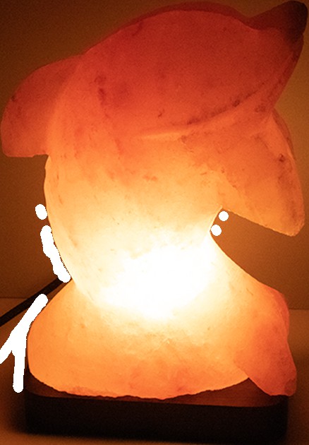 Generic Himalayan Salt Lamp - Dolphin