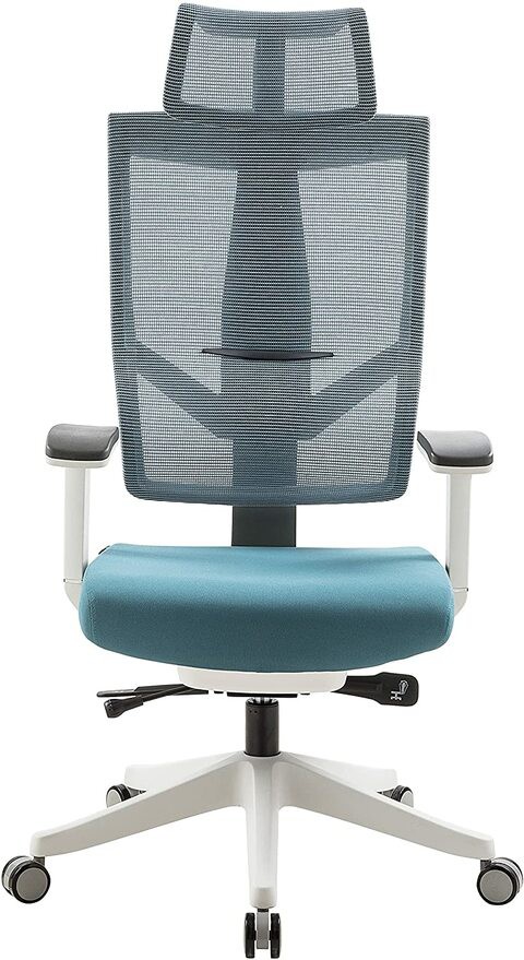 Aero Chair Ergonomic Design, Premium Office &amp; Computer Chair with Multi-adjustable features by Navodesk (MARINE BLUE)