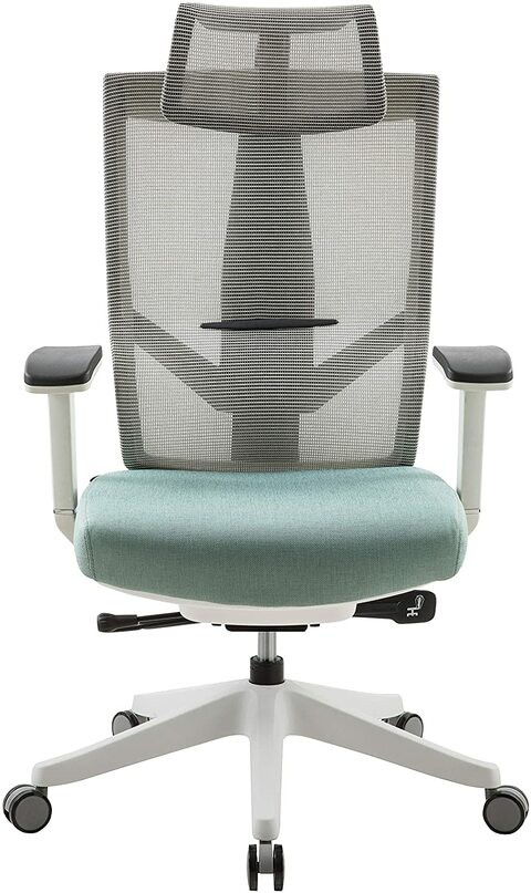 Aero Mesh Ergonomic Chair, Premium Office &amp; Computer Chair with Multi-adjustable features by Navodesk (MINT GREEN)