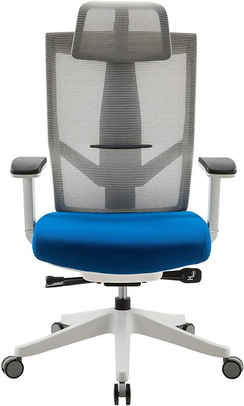 AERO Chair, Ergonomic Design, Premium Office & Computer Chair with Multi-adjustable features by Navodesk (SAPPHIRE BLUE)