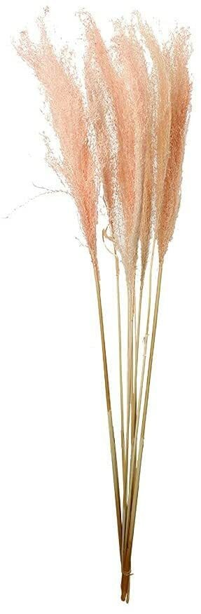 Yatai Natural Dried Pampas Grass Flowers - Pink