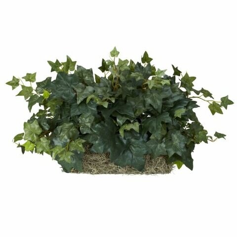 Nearly Natural 6707 Ivy Ledge Set On Foam Decorative Silk Plant, Green