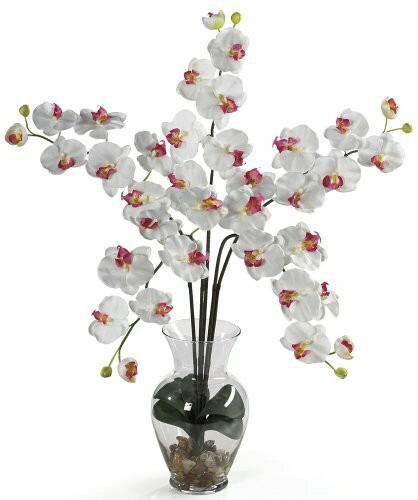 Nearly Natural 1106-WH Phalaenopsis Liquid Illusion Silk Flower Arrangement, White