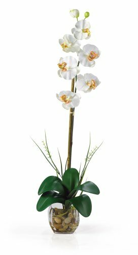 Nearly Natural 1104-CR Single Phalaenopsis Liquid Illusion Silk Flower Arrangement, Cream