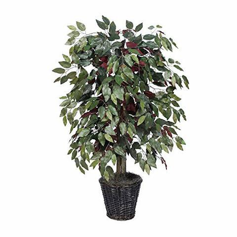 Vickerman 4-Feet Artificial Capensia Bush in Decorative Rattan Basket