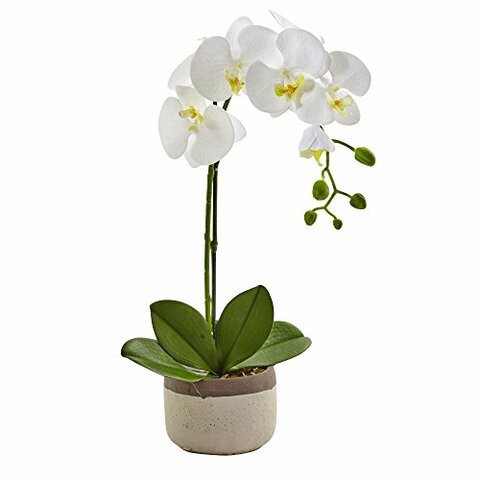 Nearly Natural 4569 Phalaenopsis Orchid in Ceramic Pot,White,19tall