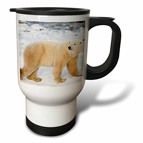 3Drose Canada Polar Bear, Ursus Maritimus Stainless Steel Travel Mug, 14 Oz, White