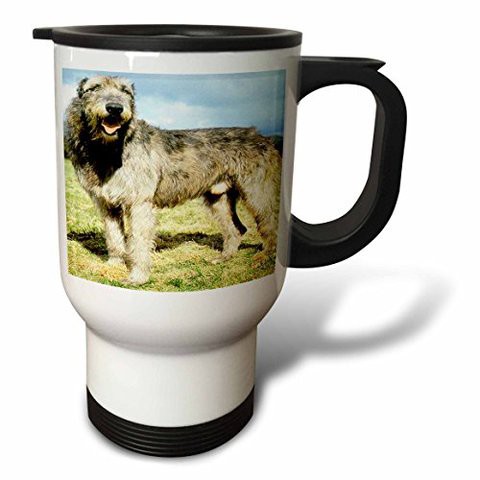 3Drose Jack Russell Terrier Travel Mug, 14-Ounce, Stainless Steel