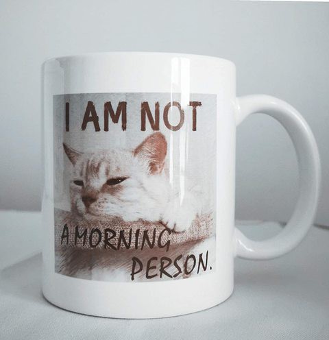 Gex 11Oz Gift Coffee Mug, I Am Not A Morning Person, Sleepy Cat Design