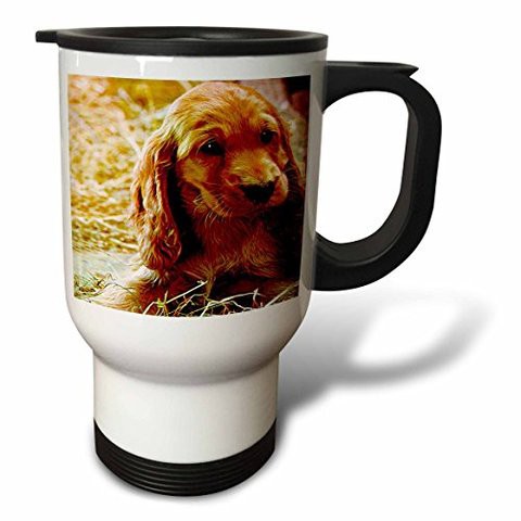 3Drose Irish Wolfhound Travel Mug, 14-Ounce