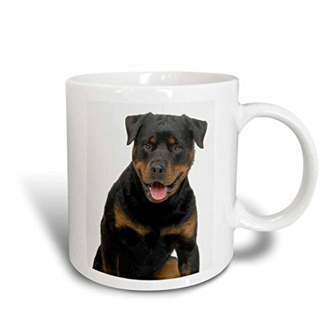 3dRose Rottweiler Mug, 15 oz, Multicolor