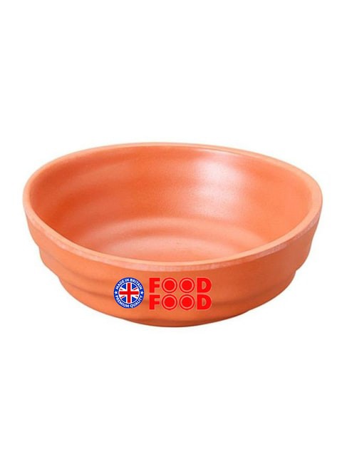 Generic Terra Cotta Serving Bowl Orange 5.5inch