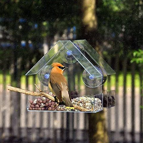 Generic Clear Glass Window Viewing Bird Feed Hotel Table Seed Peanut Hanging Suction