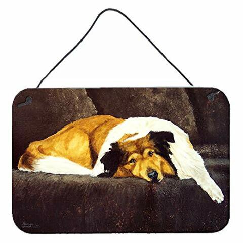 Caroline&#39;s Treasures Amb1031Ds812 Collie By Tanya And Craig Amberson Wall Or Door Hanging Prints, 8X12, Multicolor