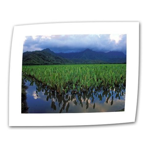 Artwall Kauai Taro Field 12 By 18-Inch Flat/Rolled Canvas By Kathy Yates With 2-Inch Accent Border