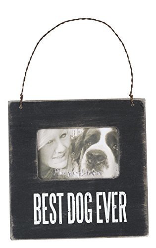 Primitives By Kathy 21491 Mini Box Frame, 4.5 X 4.5-Inches, Best Dog Ever