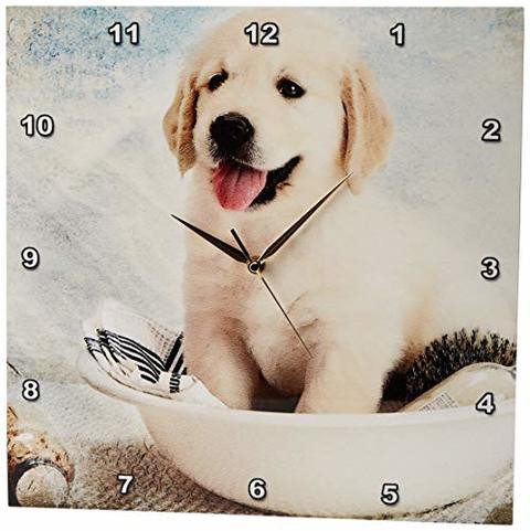 3Drose Dpp_172989_3 Cute Golden Retriever Puppy Spa Day Art Photo Courtesy Badestboss. Wall Clock, 15 By 15-Inch