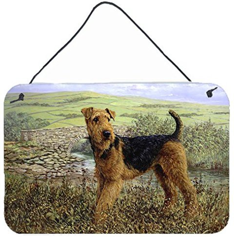 Caroline&#39;s Treasures Hmhe0245Ds812 Airedale Terrier The Kings Country Wall Or Door Hanging Prints, 8X12, Multicolor