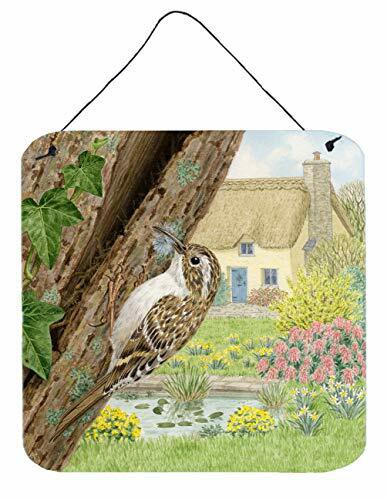 Caroline&#39;s Treasures Asad0680Ds66 Treecreeper By Sarah Adams Wall Or Door Hanging Prints, 6X6, Multicolor