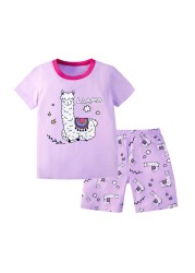 2022 Dinosaur Unicorn Panda Children's Clothing Summer Boys and Girls Clothes Teenagers Kids Suits Boys Sets Girls Outfits