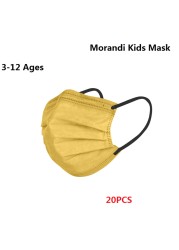 Morandi Embroidered 4 Layers Kids Mask 3-12 Years Old Children Masks Disposable Dust Mask Christmas Mask