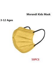 Morandi Embroidered 4 Layers Kids Mask 3-12 Years Old Children Masks Disposable Dust Mask Christmas Mask