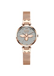 OLEVS Women Watch Dial Mesh Bracelet Watch, Lady Waterproof Quartz Watch