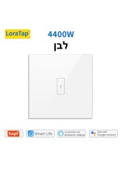 EU WiFi Boiler Water Heater Switch 4400W Tuya Smart Life App Remote Control ON OFF Timer Voice Control Google Home Alexa Echo