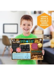 Discovery 5-Piece Toy Excavation Mini Fossil Kit