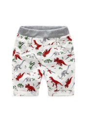 Children's Summer Loose Shorts Dinosaur Beachwear Personality Sports Socks 2-7 Years