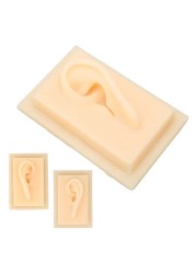 Silicone Ear Fake Ear Glossy Texture for Teaching Demonstration