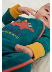 Dinosaur Single Sleepsuit (0-2yrs)