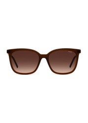 HUGO Brown Sunglasses